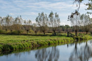 LEU Langbroekerdijk 2018 04