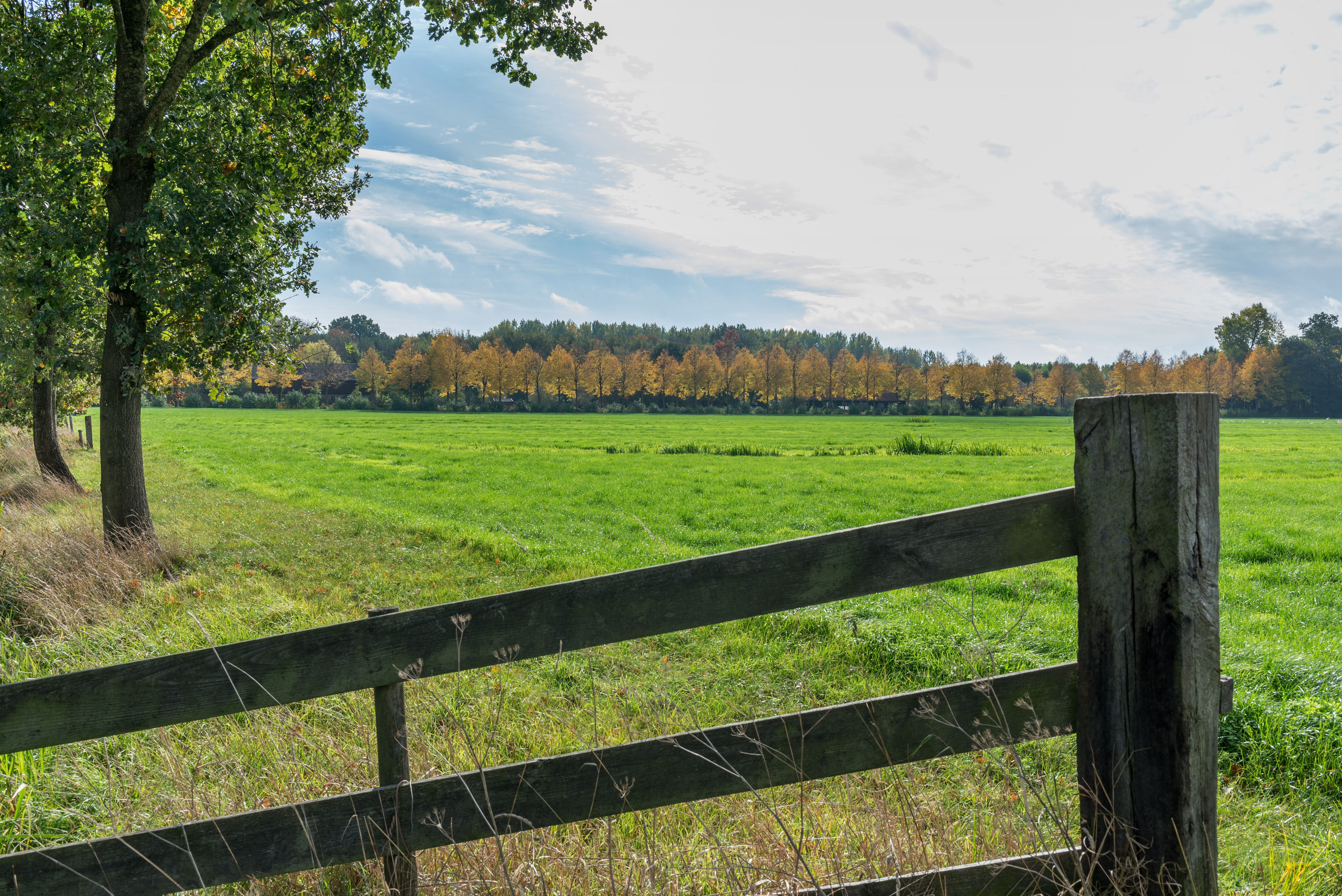 LEU Langbroekerdijk 2018 26