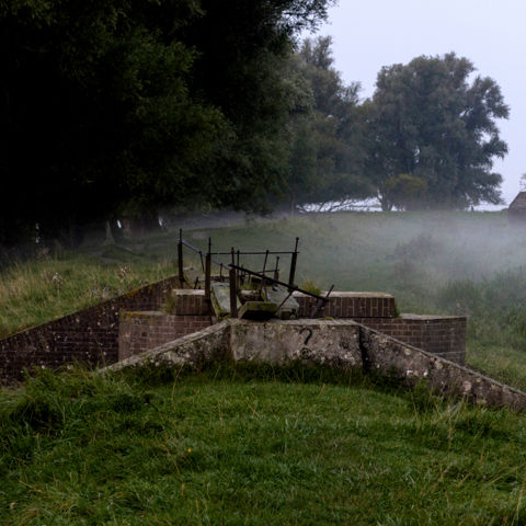 Nature Grass Outdoor Fog Mist Farm 460650 Pxhere.Com