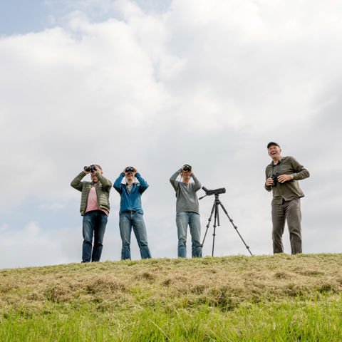 Weidevogels 2019 LEU 58