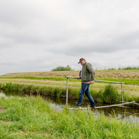 Weidevogels 2019 LEU 60