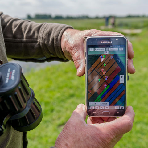 Weidevogels 2019 LEU 75