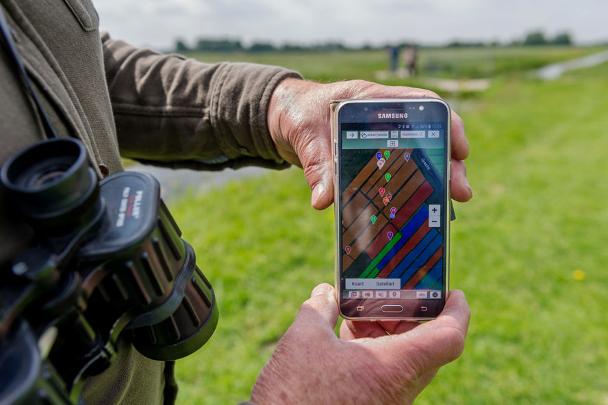 Weidevogels 2019 LEU 75