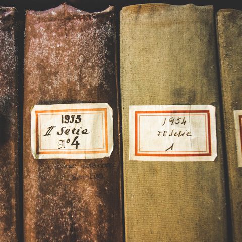 Catarina Carvalho 720012 Unsplash