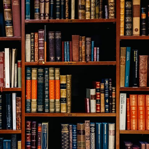 Inaki Del Olmo 602632 Unsplash