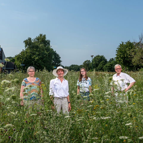 Bloemenweide Soest Gadb 2019
