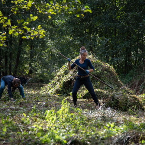 Natuurwerkdag 2019 3