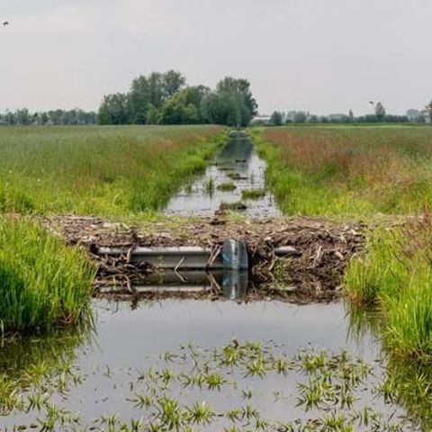 Info Boeren Water Natuur