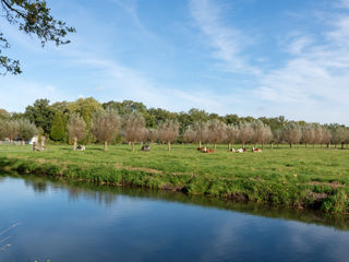 LEU Langbroekerdijk 2018 01 (1)