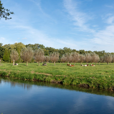 LEU Langbroekerdijk 2018 01 (1)