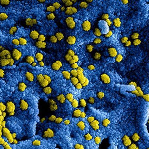 Nieuw Coronavirus In China