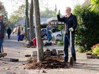 Groen aan de Buurt 2020