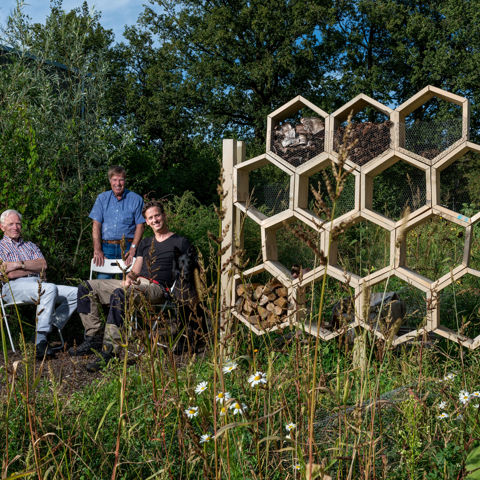 Vlinder En Bijentuin Woudenberg Gadb 2019