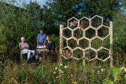 Vlinder En Bijentuin Woudenberg Gadb 2019