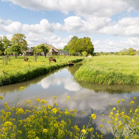 Kringlooplandbouw Het Ideale Landschap