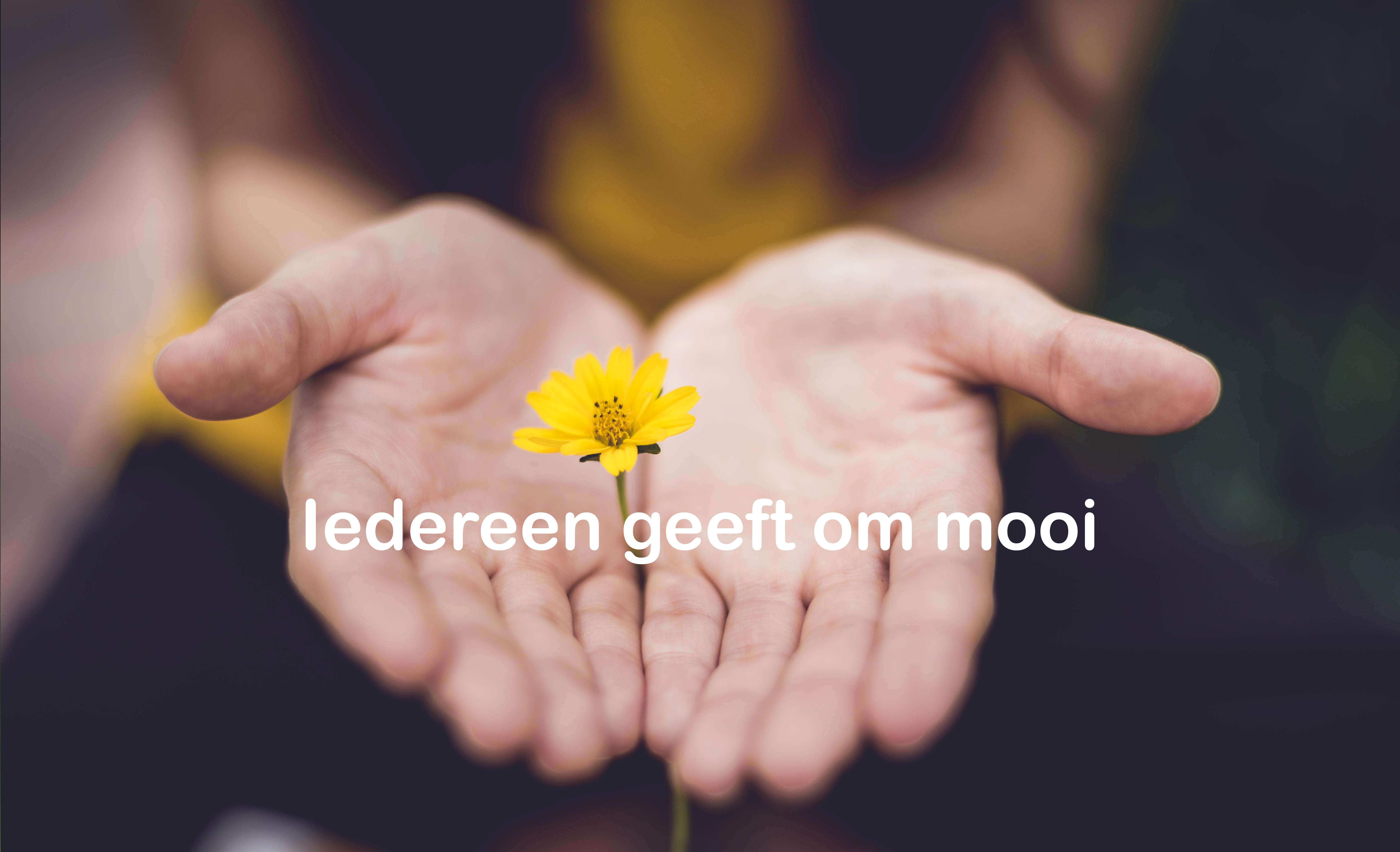 Iedereen Geeft Om Mooi