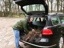 Vrouw Met Bomen