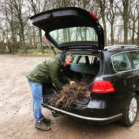 Vrouw Met Bomen