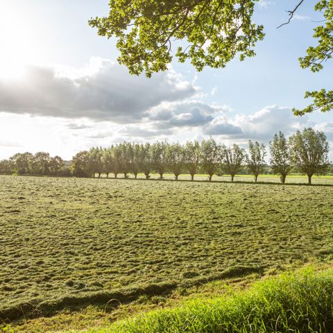 Landschapswijzer Beeld Floris Scheplitz