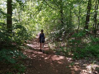 Grafheuvel Wandeling Archeologiedagen