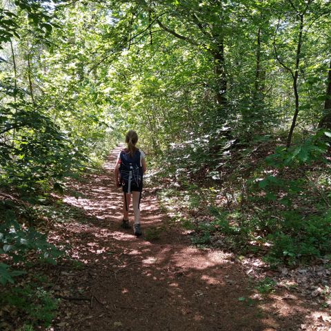Grafheuvel Wandeling Archeologiedagen
