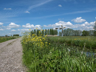 Eendenkooienpad 2021 09