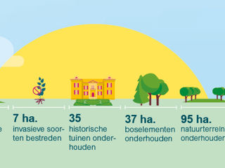 Uitsnede