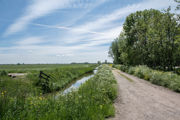 Eendenkooienpad 2021 06