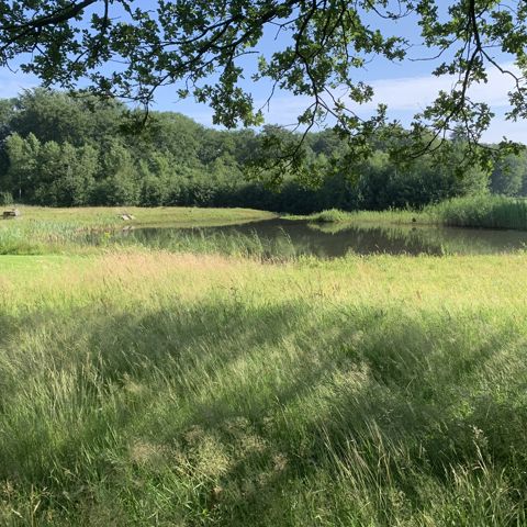 Bijondere Buitendag Bilthoven 1