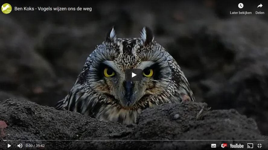 Oostbroeklezing Vliegers Utrechts Landschap 2
