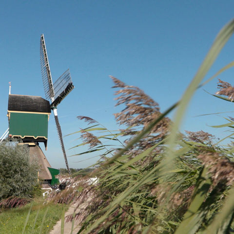 5 Watermolen