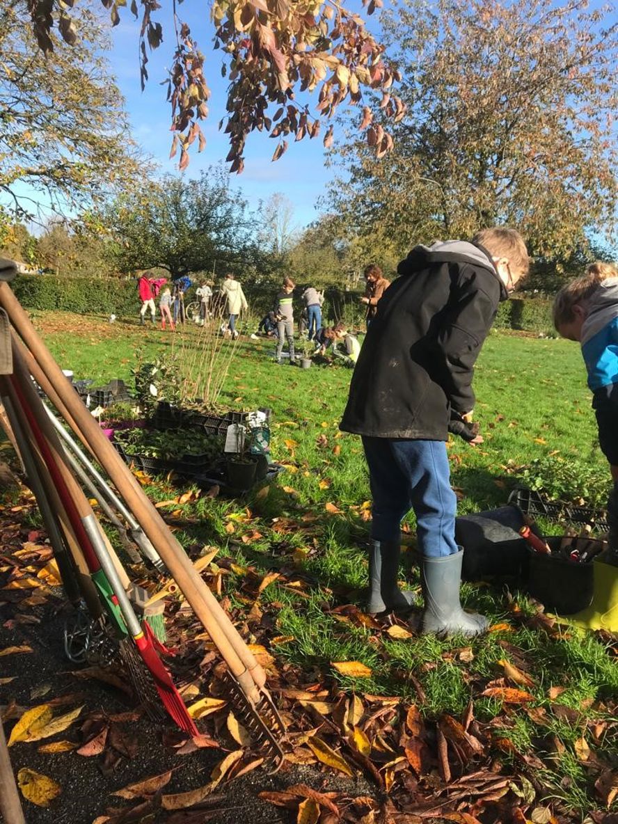 Schoolnatuurwerkdag Wijk2