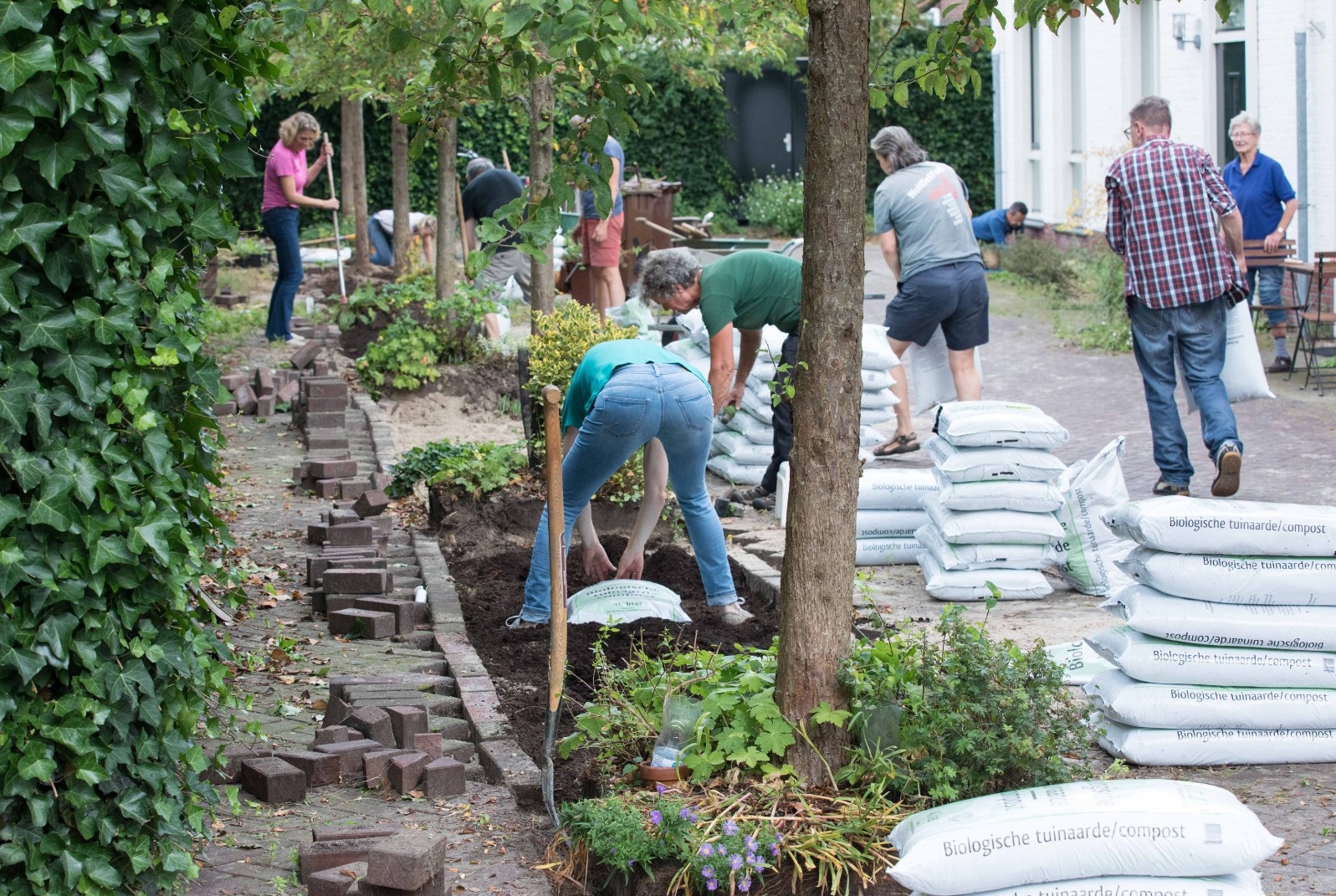 Groen Aan De Buurt Beeld Workshop