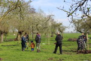 Plan Boom Bomen Voor Boeren