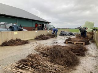 Plan Boom Woudenberg 1