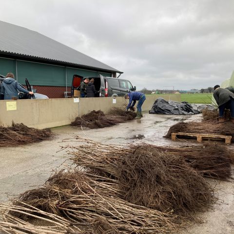 Plan Boom Woudenberg 1