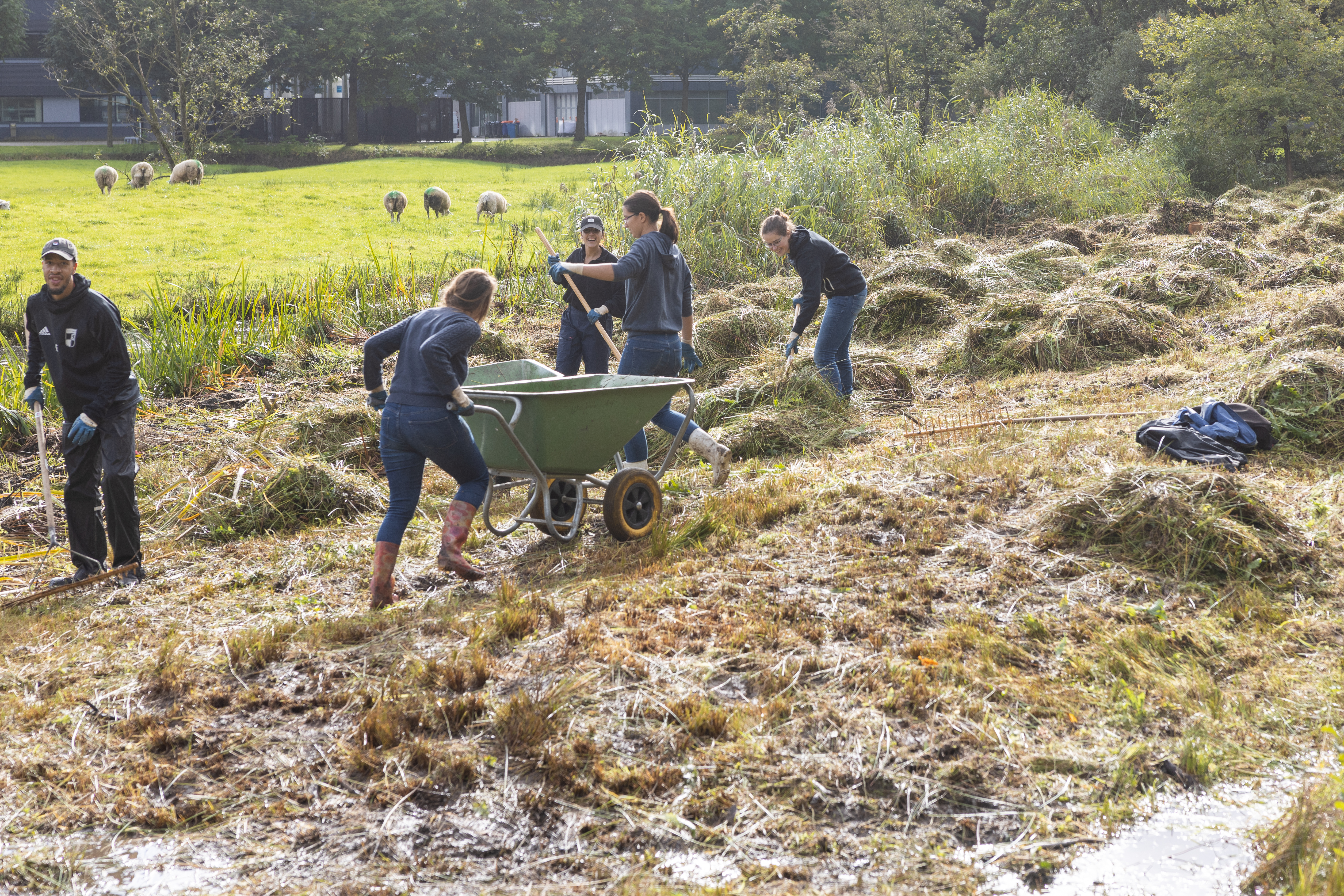 20211012 Natuurwerkdag (112 Van 119)