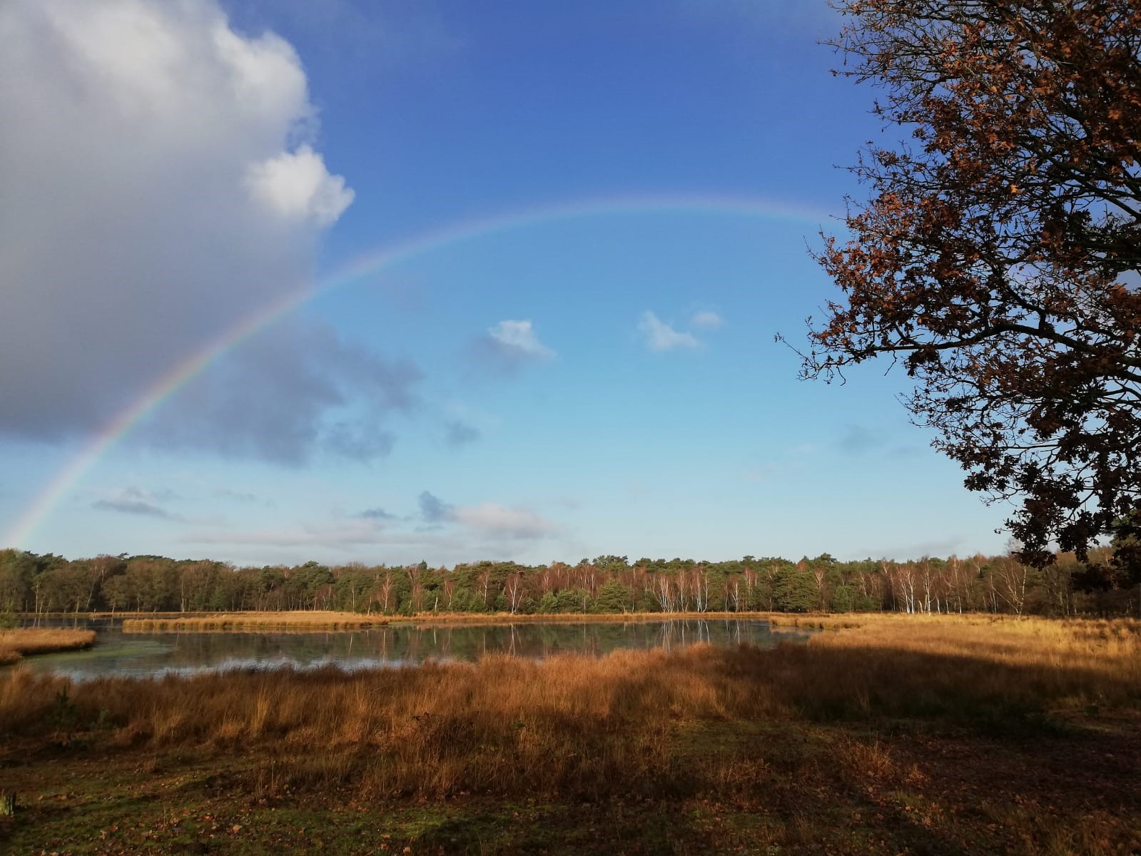 Gebied In Beeld Leersum