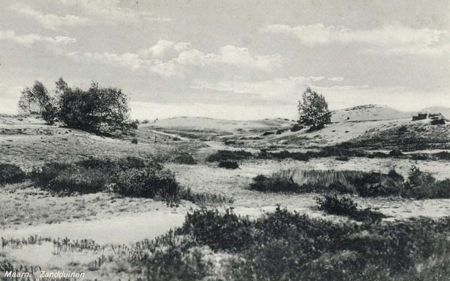 Utrechtse Heuvelrug