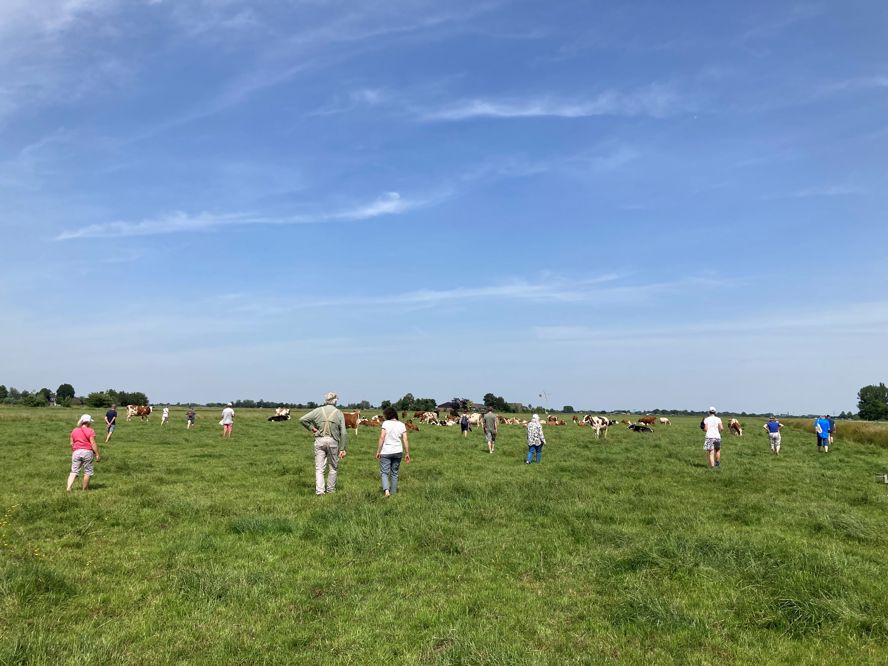Vrijwilligersdag 2022 Koeienboeien