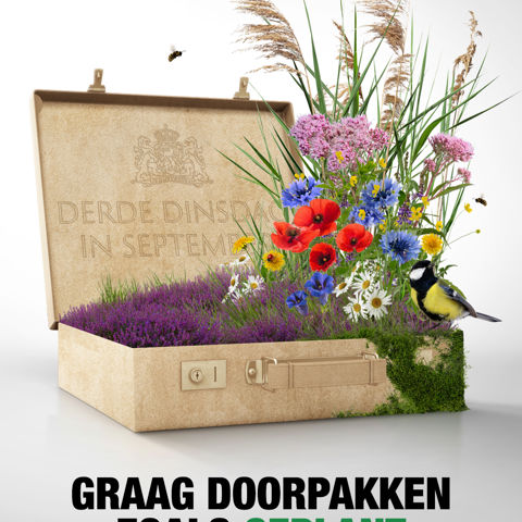 Koffer Nietzondernatuur Miljoenennota