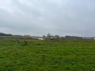 Natuurgebied Waterrijk Vathorst Amersfoort