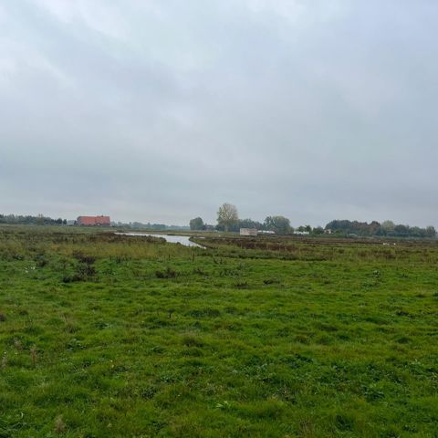 Natuurgebied Waterrijk Vathorst Amersfoort