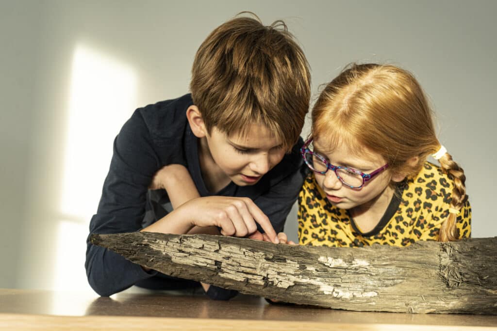 Museum Hoge Woerd Houtkamer Caafkeholwerda 1024X683