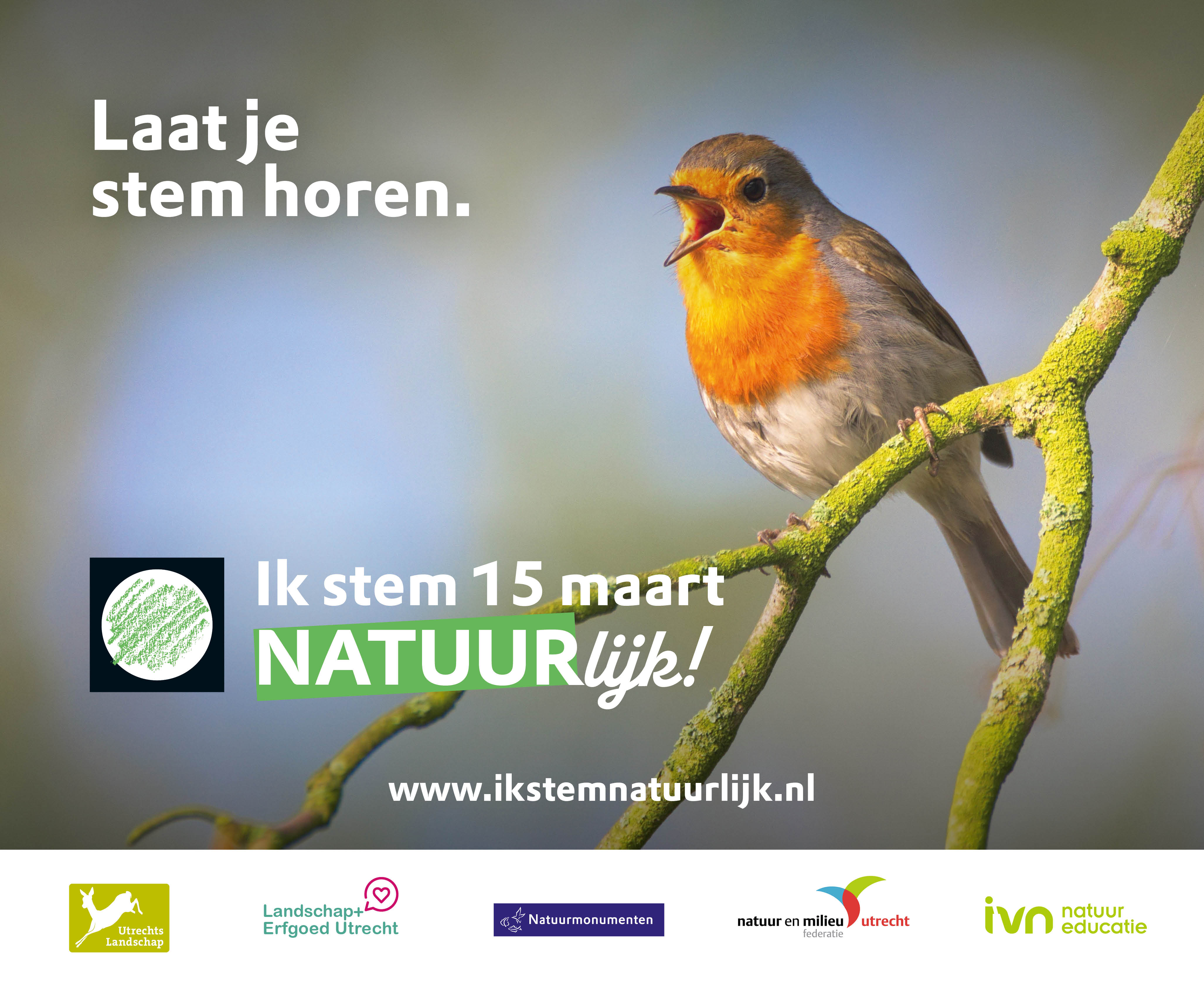 Puur Stem Natuurlijk Rechthoek