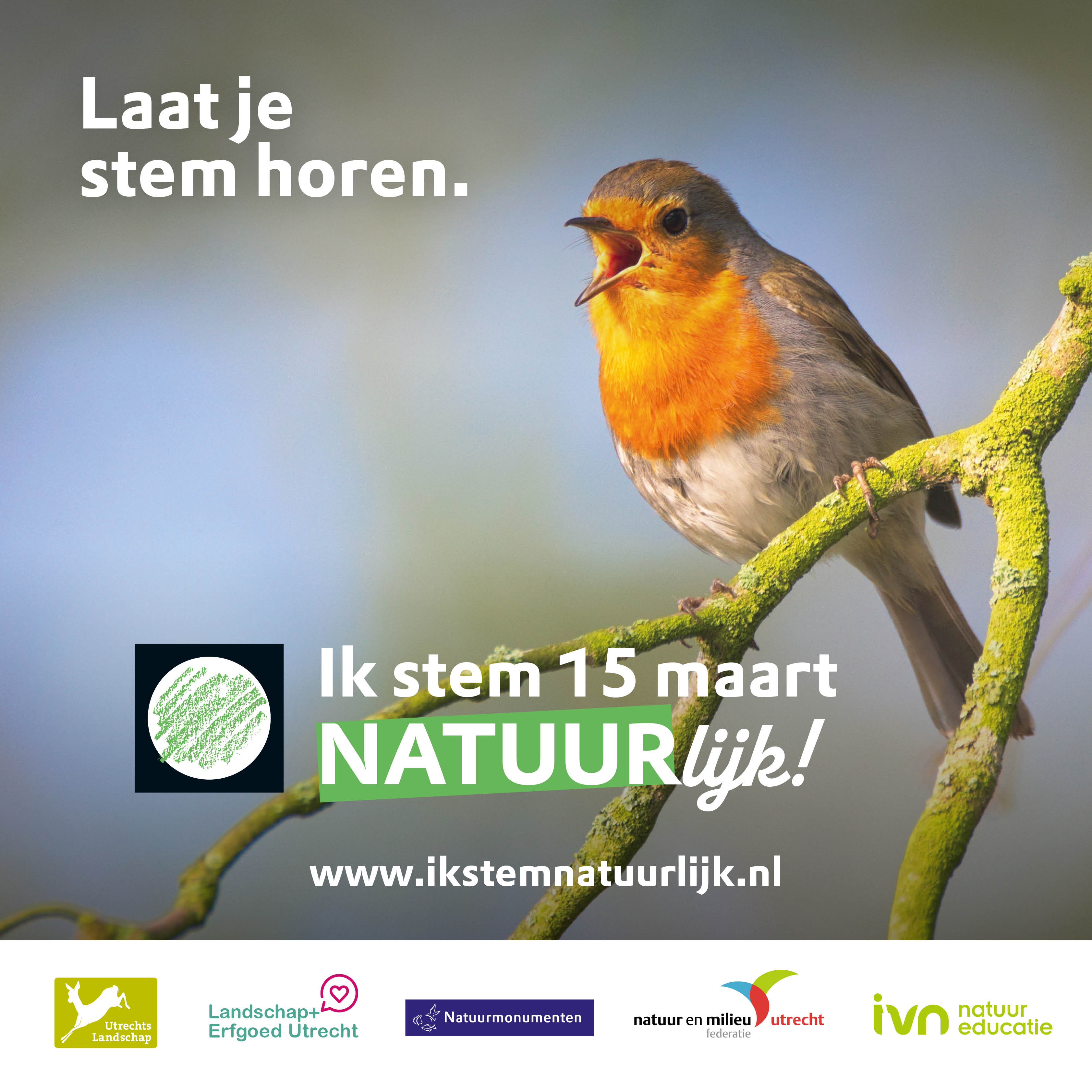 Puur Stem Natuurlijk Vierkant