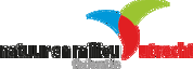 NMU Logo CMYK Druk Transparant 1
