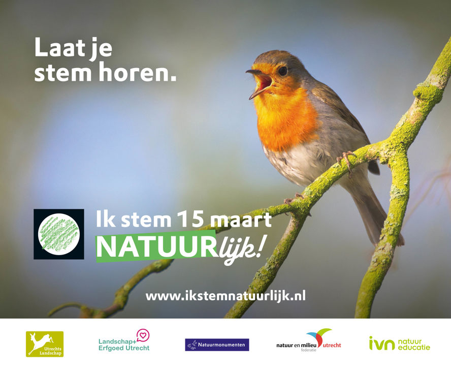 Puur Stem Natuurlijk Rechthoek