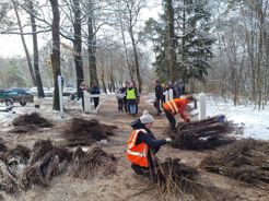3 Uitdeelactie Maart 2023 Bomen