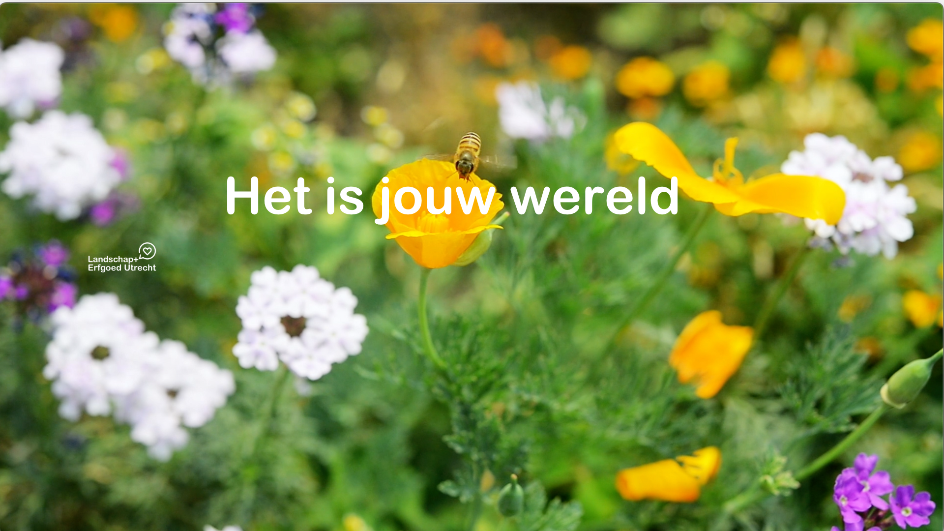 Het Is Jouw Wereld (1)